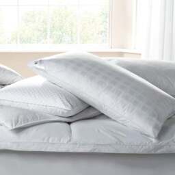Dorma Hungarian Goose Down Back Sleeper Pillow - thumbnail 5
