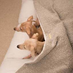 Lords and Labradors Boucle Sleepy Burrow Dog Bed - thumbnail 3