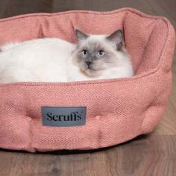 Scruffs Seattle Cat Bed - thumbnail 2
