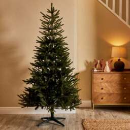 6ft Abies Christmas Tree - thumbnail 2