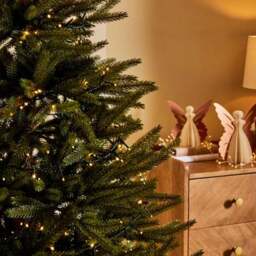 6ft Abies Christmas Tree - thumbnail 3