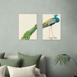 East End Prints Set of 2 Peacock Prints - thumbnail 1