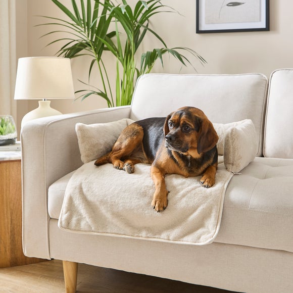 Sofa Reviews Wayfair Dog Sofa Bed George Oliver Futon Sofa Bed