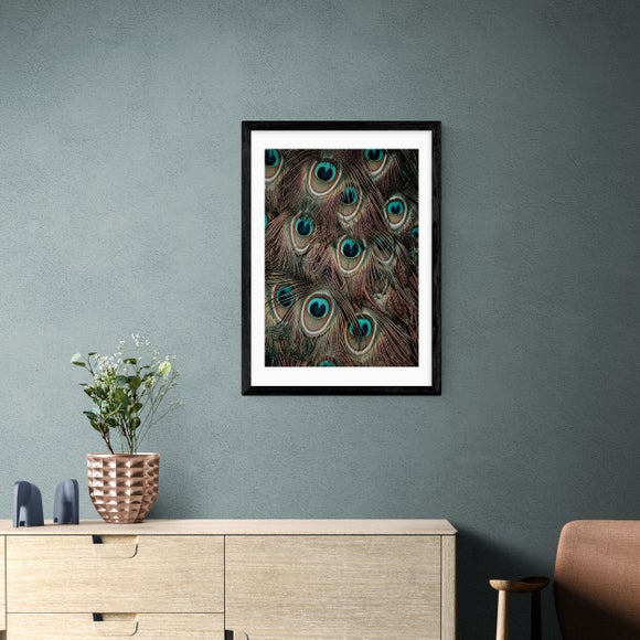 East End Prints Peacock Feathers Print - image 1