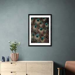 East End Prints Peacock Feathers Print - thumbnail 1