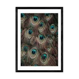 East End Prints Peacock Feathers Print - thumbnail 2