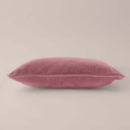 Clara Cotton Velvet Square Cushion - thumbnail 3