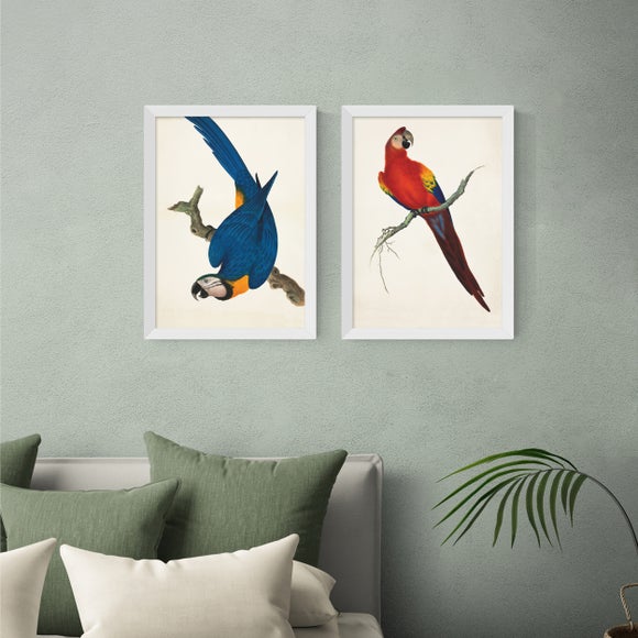 East End Prints Set of 2 Parrots Prints - image 1