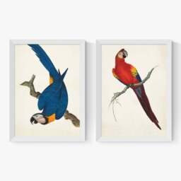 East End Prints Set of 2 Parrots Prints - thumbnail 2