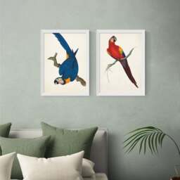 East End Prints Set of 2 Parrots Prints - thumbnail 1