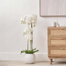 Artificial White Orchid in Rounded White Plant Pot - thumbnail 1