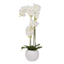 Artificial White Orchid in Rounded White Plant Pot - thumbnail 4