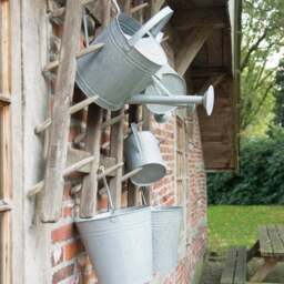Fallen Fruits Old Zinc Bucket - thumbnail 2