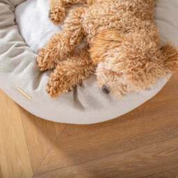 Lords and Labradors Herringbone Donut Dog Bed - thumbnail 2