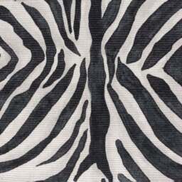 Paoletti Leopardis Zebra Indoor Outdoor Rug - thumbnail 2