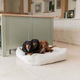 Lords and Labradors Boucle Box Dog Bed - thumbnail 2
