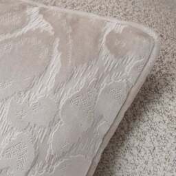 Giovanna Velvet Cushion - thumbnail 2