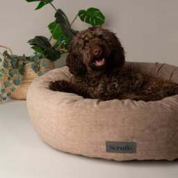 Scruffs Oslo Donut Dog Bed - thumbnail 2