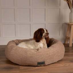 Scruffs Oslo Donut Dog Bed - thumbnail 3