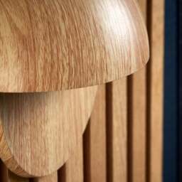 Kip Outdoor Wall Light - thumbnail 2