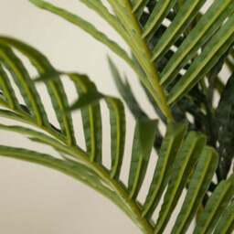 Artificial Real Touch Pearl Palm Tree in Black Plastic Plant Pot - thumbnail 2