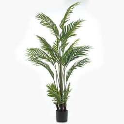Artificial Real Touch Pearl Palm Tree in Black Plastic Plant Pot - thumbnail 3