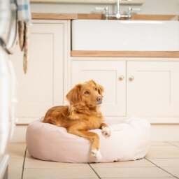 Lords and Labradors Velvet Donut Dog Bed - thumbnail 1
