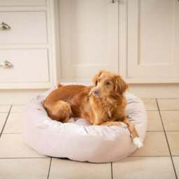 Lords and Labradors Velvet Donut Dog Bed - thumbnail 2