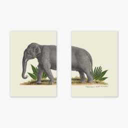 East End Prints Set of 2 Elephant Prints - thumbnail 2