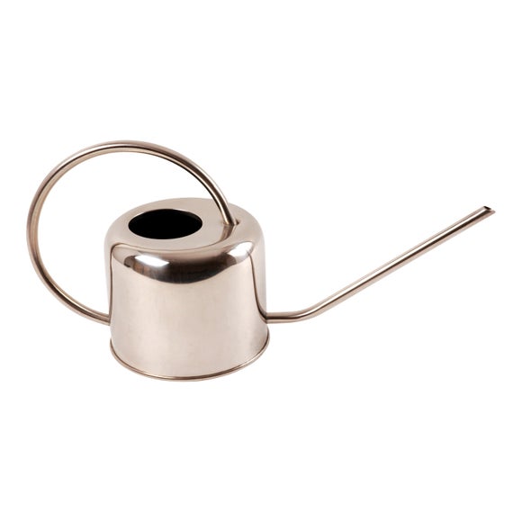 Fallen Fruits Large Stainless Steel Watering Can