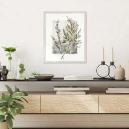 Cedar & Sage Holly Fern Floral Framed Print - thumbnail 1