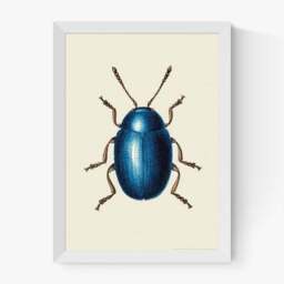 East End Prints Mustard Beetle Print - thumbnail 2