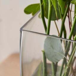 Square Glass Vase - thumbnail 2