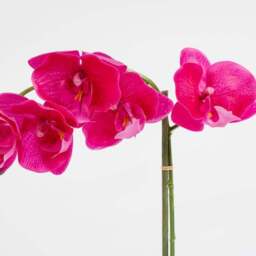 Artificial Pink Orchid in Cement Pot - thumbnail 3