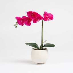 Artificial Pink Orchid in Cement Pot - thumbnail 2