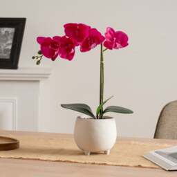 Artificial Pink Orchid in Cement Pot - thumbnail 1