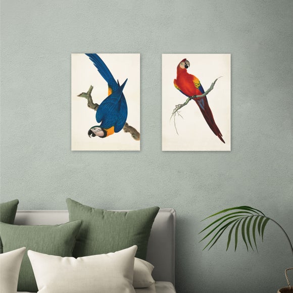 East End Prints Set of 2 Parrots Prints - image 1