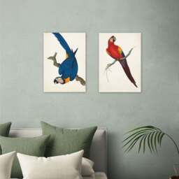 East End Prints Set of 2 Parrots Prints - thumbnail 1