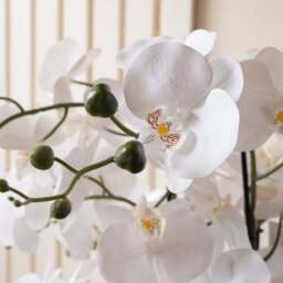 Artificial White Orchid in Grey Ceramic Plant Pot - thumbnail 2