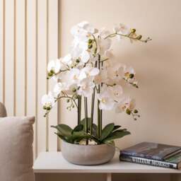 Artificial White Orchid in Grey Ceramic Plant Pot - thumbnail 1