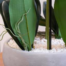 Artificial White Orchid in Grey Ceramic Plant Pot - thumbnail 3