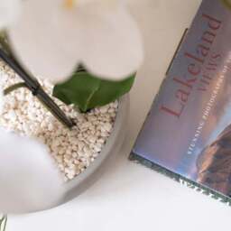 Artificial White Orchid in Grey Ceramic Plant Pot - thumbnail 4