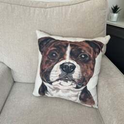 Christine Varley Staffordshire Bull Terrier Square Cushion - thumbnail 1