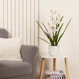 Artificial White Mini Cymbidium Orchid in White Ceramic Plant Pot - thumbnail 1