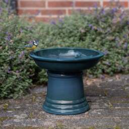 Fallen Fruits Small Terracotta Birdbath on Pedestal - thumbnail 1