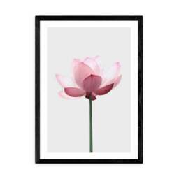 East End Prints Lotus Print - thumbnail 2