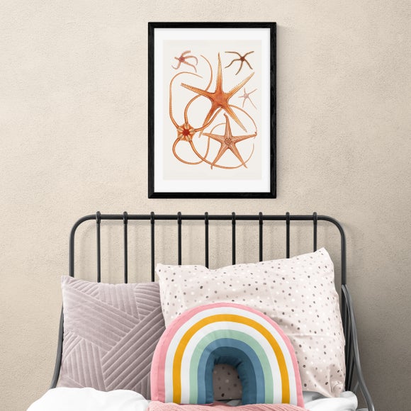 East End Prints Vintage Starfish 2 Print - image 1
