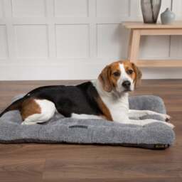 Scruffs Cosy Crate Mattress Dog Bed - thumbnail 1