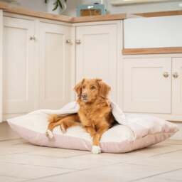 Lords and Labradors Burrow Dog Bed