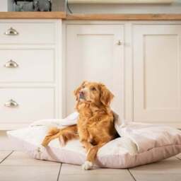 Lords and Labradors Burrow Dog Bed - thumbnail 2